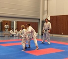 Junnujen kumitea