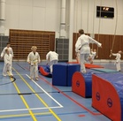 Junioreiden temppurata