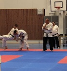 Irroittautumisharjoitus, Ukko Ja Otto