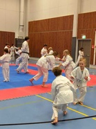 Junnujen kumitea