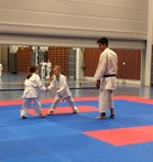 Junnujen kumitea