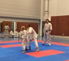 Junnujen kumitea